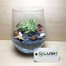 Simplicity Zen Themed Succulent Terrarium Succulent Terrarium Succulents Terrarium