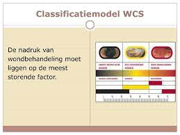woundcare consultant society kneuzingen menselijk lichaam wondverzorging