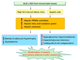 Use this page to learn how to convert between calories and grams. Ijms Free Full Text Lemon Balm Extract Als L1023 Regulates Obesity And Improves Insulin Sensitivity Via Activation Of Hepatic Ppara In High Fat Diet Fed Obese C57bl 6j Mice Html