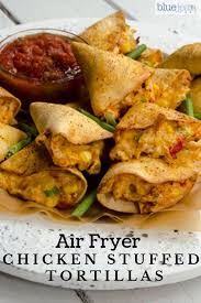 Pin On Air Fryer
