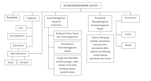 Kerangka konsep adalah gambaran/skema/bagan yang menggambarkan hubungan antara variabel bebas dan bisa juga, membantah ataupun membenarkan hasil penelitian sebeumnya, dengan menemukan suatu kajian baru (ilmu baru) yang akan digunakan. Http Repository Unpas Ac Id 35943 3 Bab 20ii Pdf