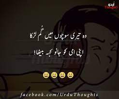 Funny 2 Line Urdu Poetry Urdu Funny Quotes Funny Quotes In Urdu Funny Words