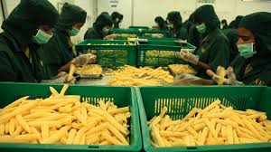 The company's technology helps to . Agricultural Policy Research The Private Sector Has An Important Role To Play In Research Into Varieties Of Hybrid Rice And Biotechnology Largely Because This Research Is Expensive And Takes Place Over