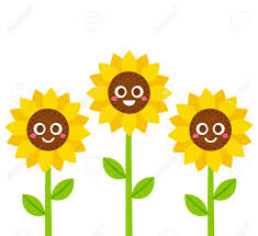 Isolated on white., cartoon flower pretty. Cute Cartoon Smiling Sunflowers Vector Illustration Flowers Royalty Free Cliparts Vectors And Stock Illustration Image 88077069