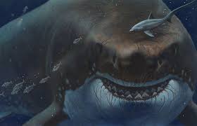 Scroll horizontally to see more sizes. Is It Possible That The Megalodon Still Lurks On The Ocean Floor Natural History Curiosities