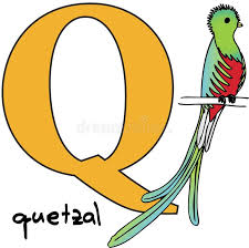 Birds That Start With The Letter Q Animal Alphabet Q Quetzal Stock Vector Illustration Of Bird Image 7599909 In 2020 Animal Alphabet Animal Alphabet Letters Vector Illustration
