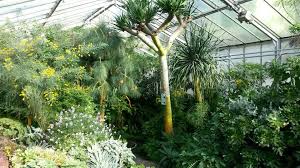 Öffnet sich mit seinen gewächshäusern und beetanlagen rund um die kuppel ganzjährig der öffentlichkeit. Botanischer Garten Botanischer Garten Garten Pflanzenwelt