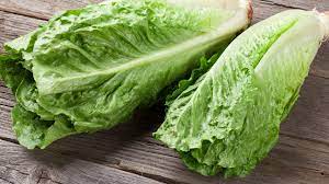 Mixing many different kinds of lettuces makes a really beautiful and tasty salad too! 5 Interesting Types Of Lettuce