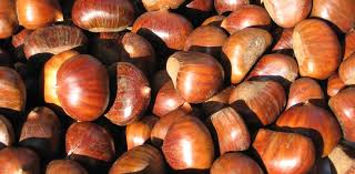 Aggiungere quindi alcune mele tagliate a tocchetti e le castagne: Sapere I Sapori La Castagna Da Cibo Dei Poveri A Prelibatezza Per Palati Raffinati Ilsudonline