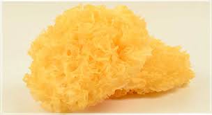 Diharapkan artikel khasiat bawang merah ini dapat memberikan sedikit pencerahan berkenaan beberapa khasiat bawang, kandungan nutrisi dan komponen di dalamnya. China Tremella Kulat Putih Kering Berkualiti Tinggi Berkualiti Tinggi Tremella Kulat Putih Kering Berkualiti Tinggi Pada Bossgoo Com