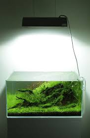 Ada Solar I Aquascape Aquarium Landscape Aquascape Aquarium