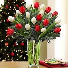 We did not find results for: Buy Tulip And Love Usa Only Same Day Flower Next Day Flower Send Flowers Online International Flower Online Flowers Flowers Online Birthday Flowers Wedding Flower In Cheap Price On Alibaba Com