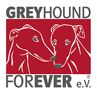 Greyhounds make great lap dogs. Greyhound Forever E V
