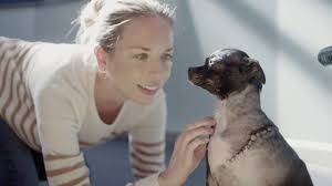 We did not find results for: Home Sf Spca