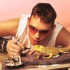 joe, auteur op Oddysee