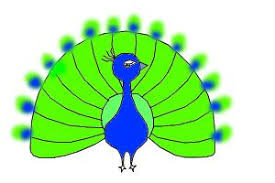 Learn how to draw a peacock for kids easy and step by step. How To Draw A Peacock Feather Drawingnow