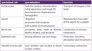 Maybe you would like to learn more about one of these? Course S4 Biology