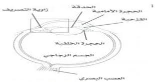 مدونة عام 2015 الماء الأزرق في العين الجلوكوما