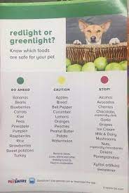 Maybe you would like to learn more about one of these? What To Feed And What Not To Feed A Dog Coolguides