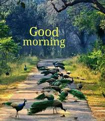 Good Morning Nature. - Good morning Beautiful Nature | Facebook