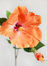 Provides quality silk cemetery flowers and sympathy silks® funeral flowers that are specifically designed for the cemetery and the funeral home.our catalog of products includes arrangements designed for the cemetery vases, monuments and tombstones, mausoleum, and niche. Pin On Tattoos