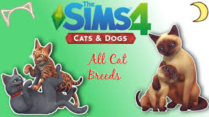 Free access to the largest collection of sims custom content. The Sims 4 Cats An Dogs All Cat Breeds Youtube