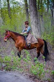 Pin By Stephanie Orlando On You Can Do It In A Dress And Enjoy It Horses Riding Skirt Horseback Riding