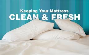 Just Like Any Other Product You Use In Your Home Your Mattress Needs To Be Cleaned Overtime Your Ma Mattress Cleaning How To Clean Carpet Upholstery Cleaner