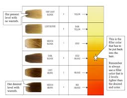 2 Ways To Do A Tint Back Haircolor University Com