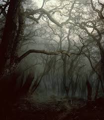 Creepy I M Thinking Of The Forest Above Serenity Before We Destroyed The Evil Temple That Was Blighting The Land Nature Mists Forest