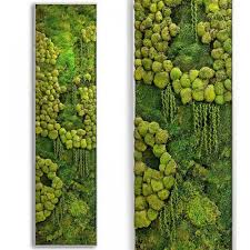 Moss Wall 3d Model For Download Cgsouq Com Moss Wall Moss Wall Art Living Wall Art