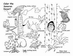 We did not find results for: Free Desert Animal Coloring Pages Desert Animals Coloring Desert Animals Desert Animals And Plants