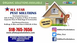 All Star Pest Solutions