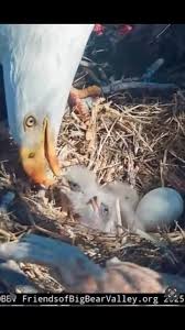 Denise DeDe Nunez-Stanczak 的Instagram video • Oct 7, 2024 at 9:51 PM