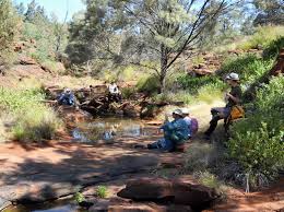 Camping and picnic facilities are available, enjoy four wheel driving and walking. Finke Watarrka Trips Willis S Walkabouts