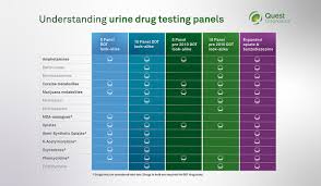 How much does a hair follicle test cost. A Closer Look Drug Testing Panels Quest Diagnostics