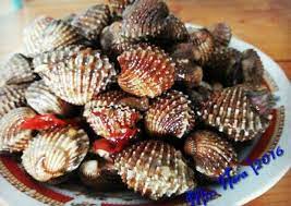 Resep Kerang Dara Rebus Kaya Rasa Oleh Miss Nora Resep Hidangan Seafood Resep Kerang Makanan Laut