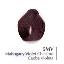 Matrix Biolage Plant Based Hair Color Chart Satin 5mv Mahogany Violet Chestnut 3oz Burgandy Hair Mahogany Hair Flat Iron Hair Styles