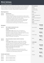 The sample curriculum vitae examples or in short the cv examples are of much use for all those who are applying for a job, some higher education programs, courses, internships, etc. 500 Cv Examples A Curriculum Vitae For Any Job Application