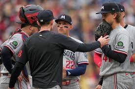 Twins Guardians Baseball