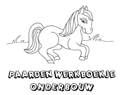 Werkboekjes Voor De Basisschool Paarden Paardensport Dieren