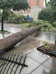 It continues jolyne's attempt to deliver star platinum's disc to her contact from the speedwagon foundation as whitesnake intervenes to stop her, enrico pucci hidden nearby. Wx32nq Kjjcn0m