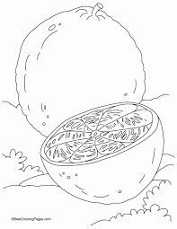 Color online with this game to color food coloring pages and you will be able to share and to create your own gallery online. Orange Coloring Page Coloring Home