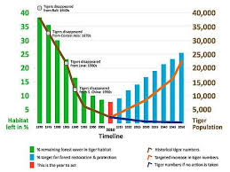 Graph Of Tiger Population Tiger Population Graphing Tiger
