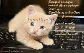 Pin On Tamil Kavithaigal Www Tamilkavithaihal Com By all about cats 3 comments on 100 cat love quotes updated jan 23, 2021 share. pin on tamil kavithaigal www