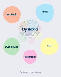 Image result for Disa perplexa