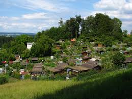 Allotment Gardening Wikipedia Full list of synonyms for landscape gardener is here.