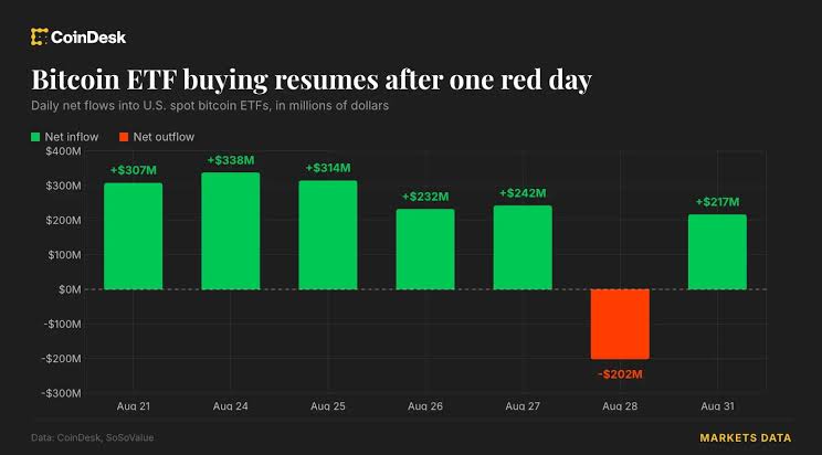 Bitcoin ETFs resume buying with $217 million as ether funds stretch streak to 11 days; Japan's 10-year JGB yield hits 3%