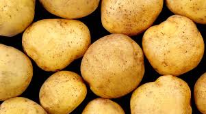 نتیجه جستجوی لغت [fleshed] در گوگل