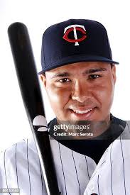 1.307 Twins Media Day Stock Photos, High-Res Pictures, and Images